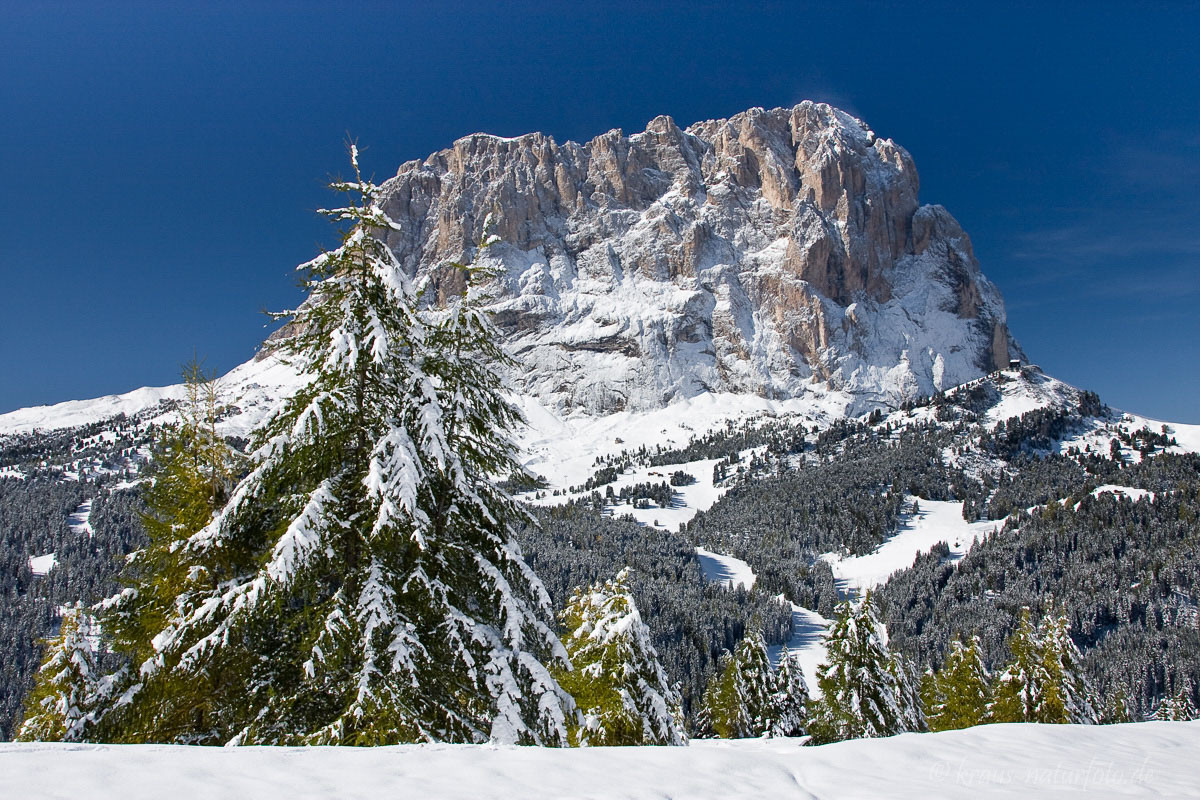 Langkofel