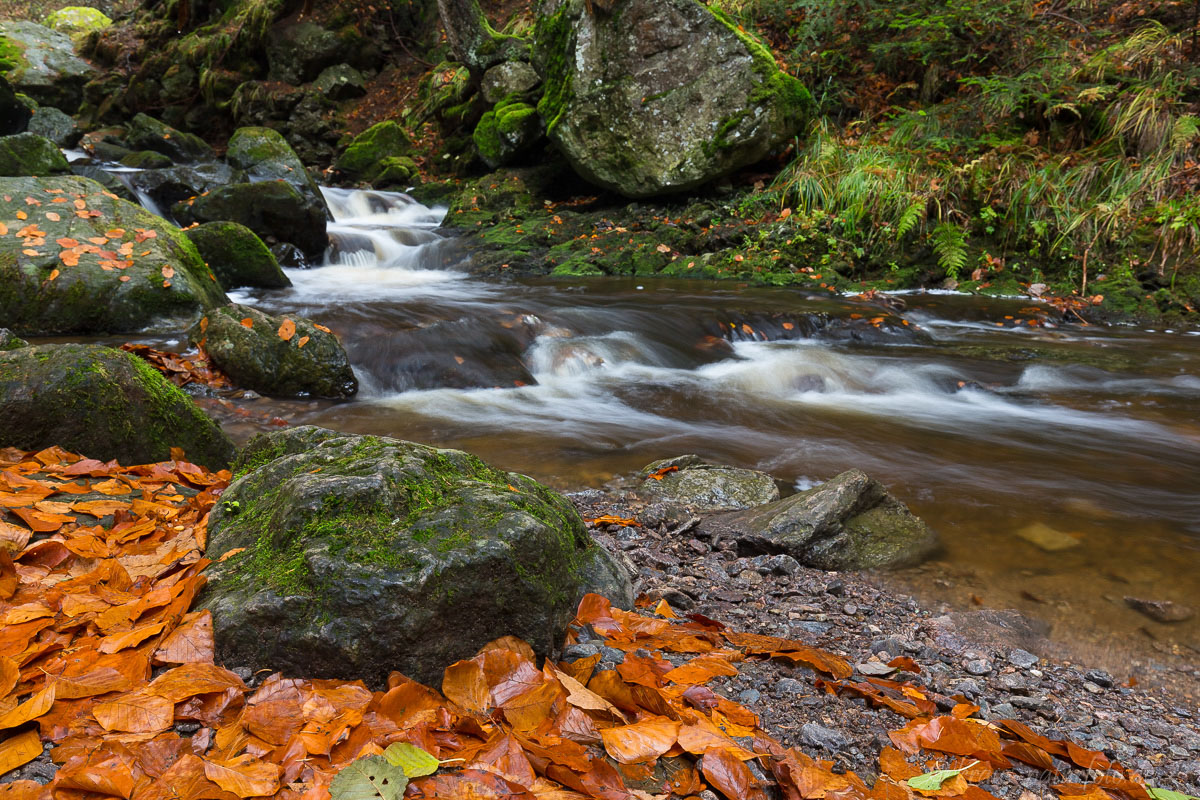 Ravennaschlucht