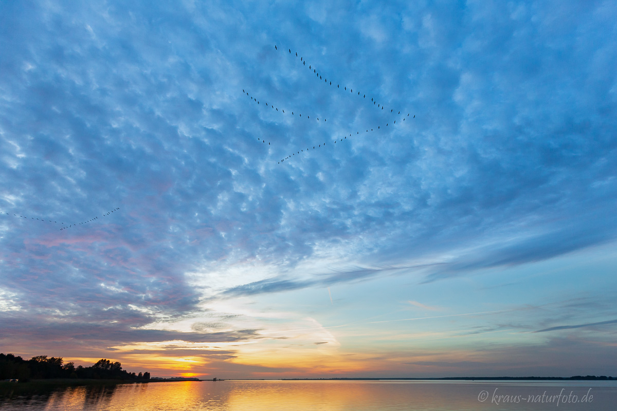 Sonnenuntergang über dem Bodden (Bodstedt)