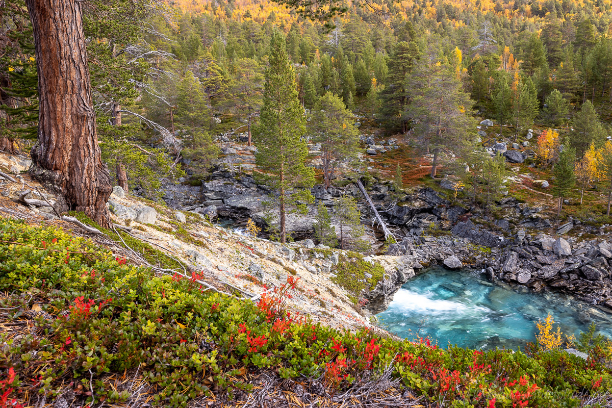 Reinheimen Nationalpark