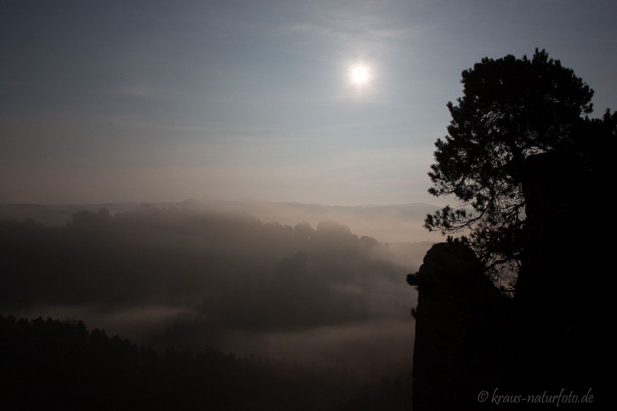 Mondschein auf der Bastei