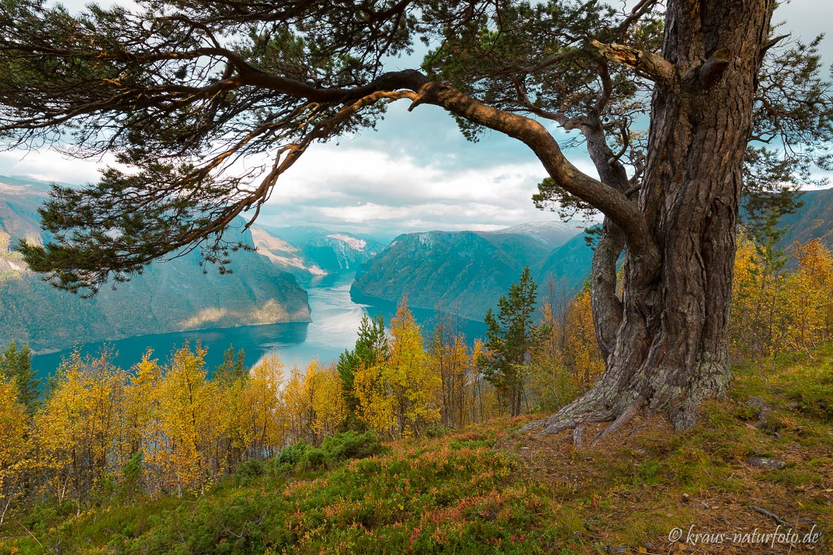 Über dem Aurlandsfjord