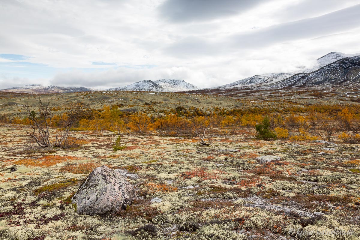 Dørålseter, Rondane Nationalpark