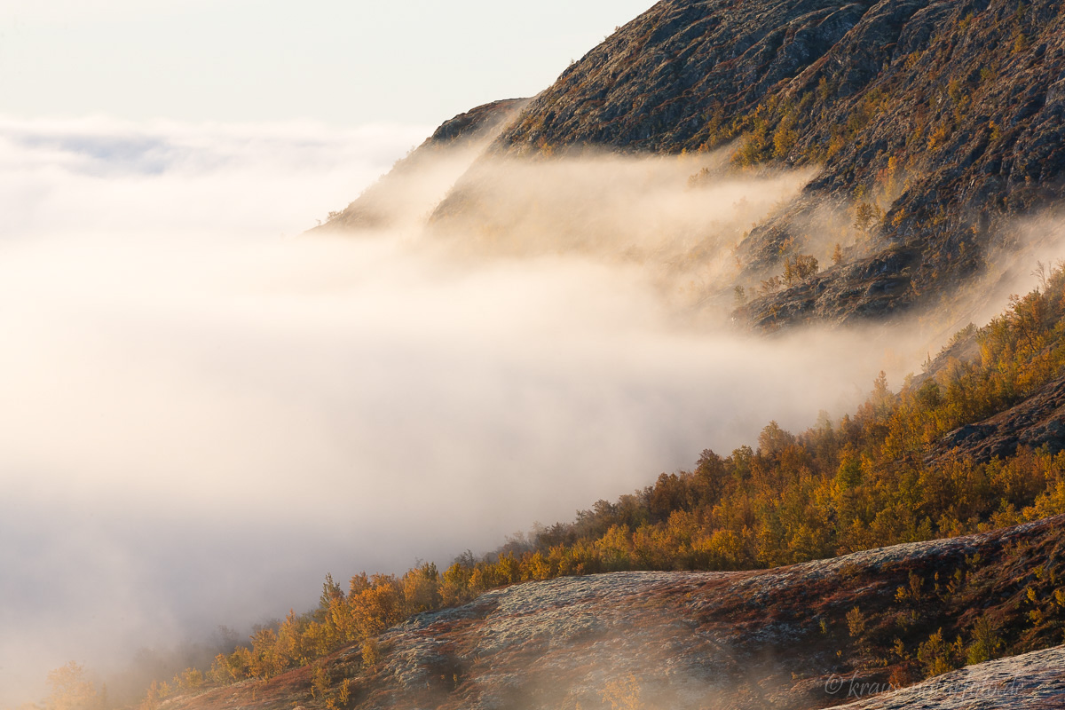 Nebel am Dovrefjell