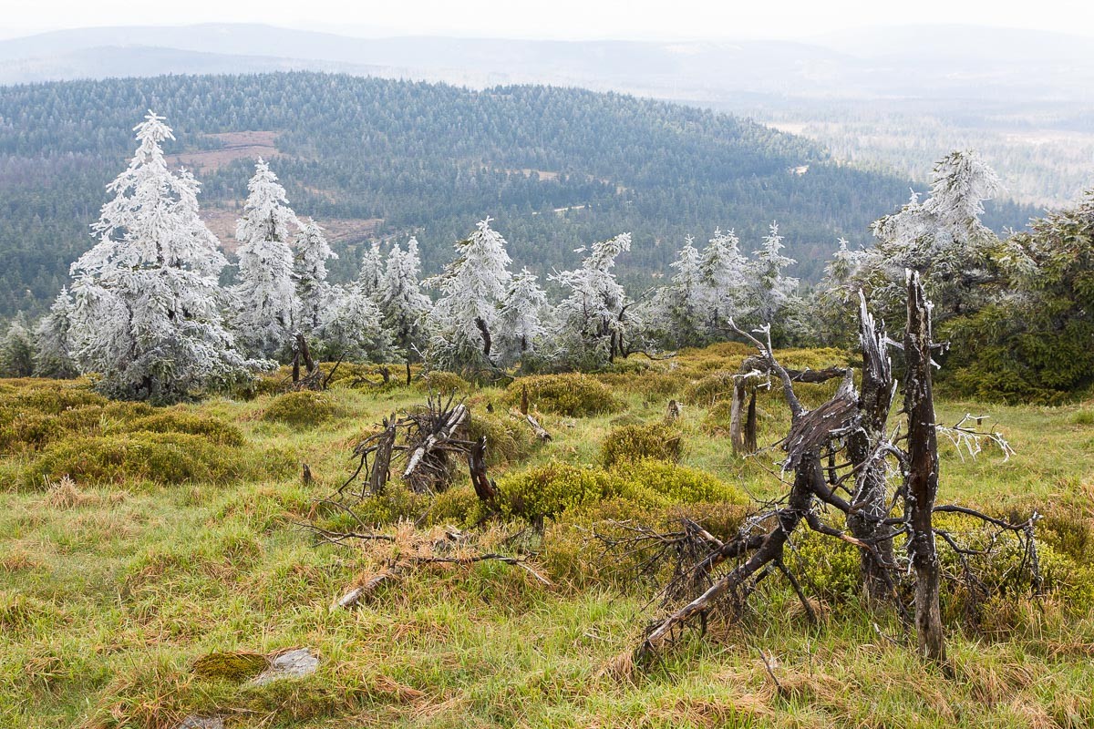 auf dem Brocken