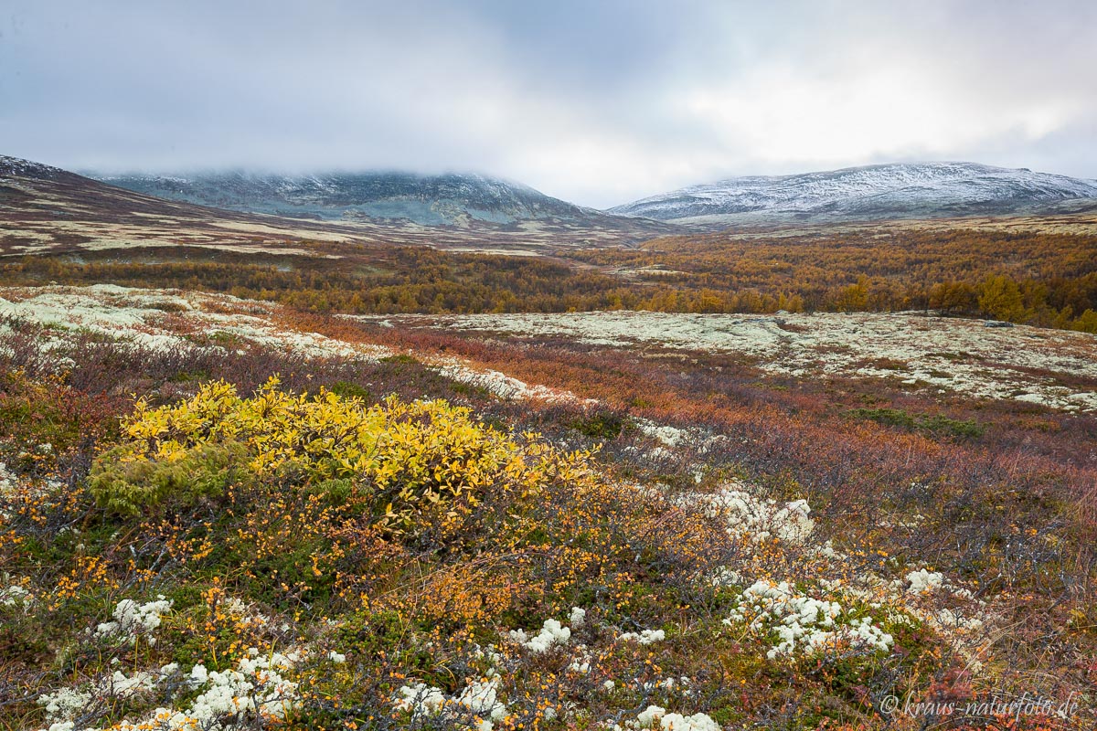 Dørålseter, Rondane Nationalpark