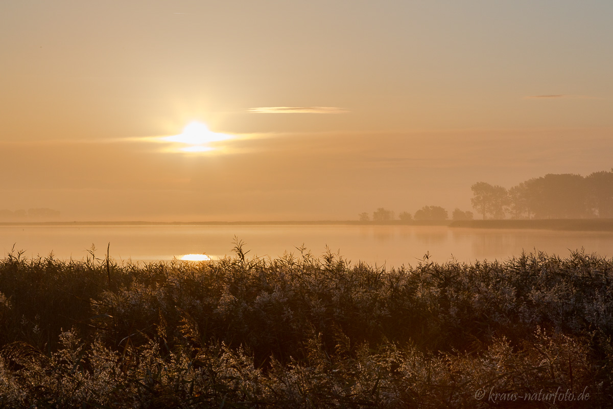 Sonnenaufgang über dem Bodden