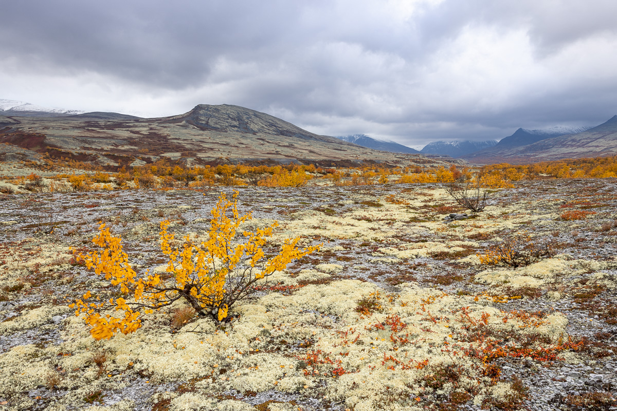 Rondane Nationalpark