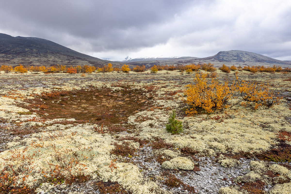 Rondane Nationalpark
