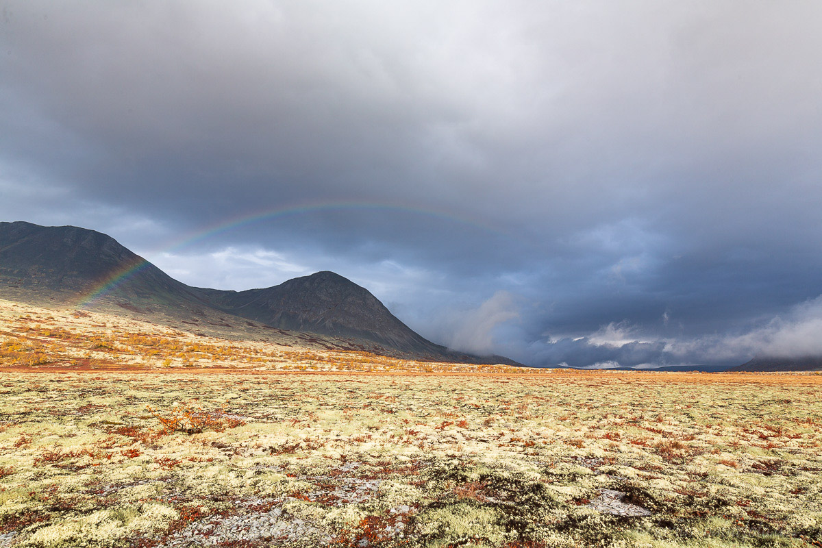 Herbst im Rondane, Norwegen