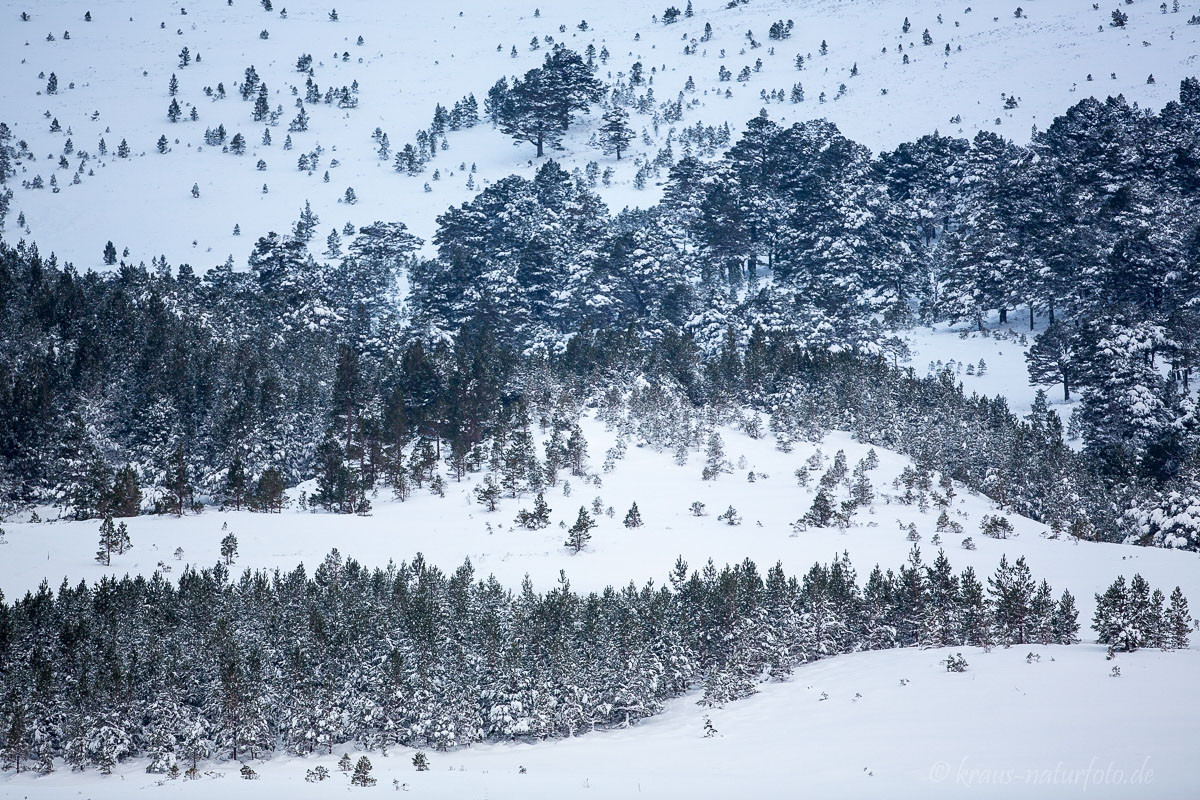 Landschaft in den Cairngorm Mountains