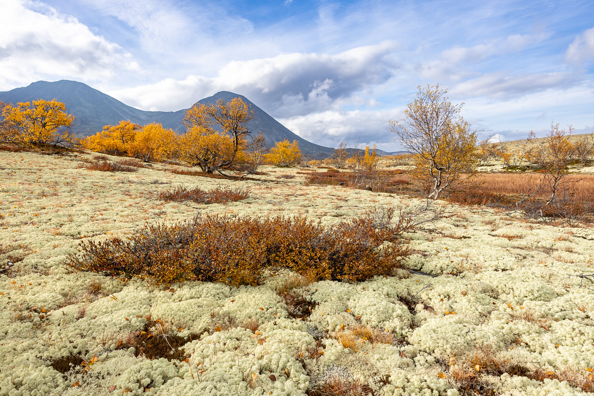 Rondane Nationalpark