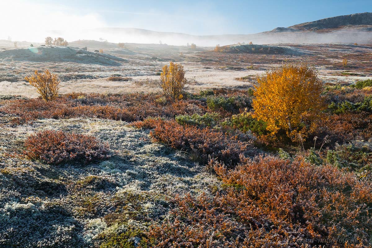 Raureif über Fjelllandschaft