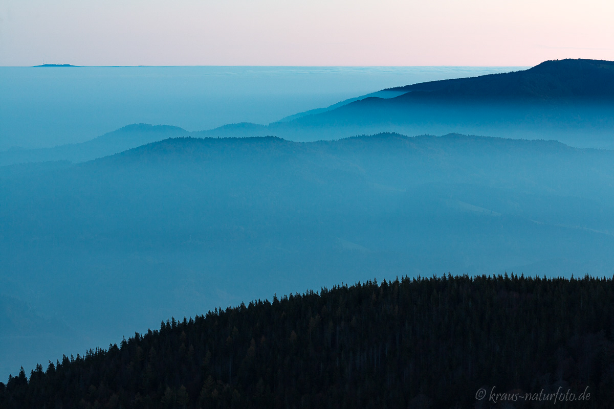 Morgens am Schauinsland