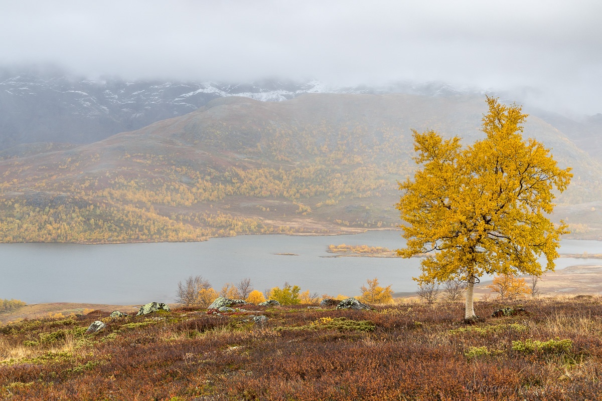 Jotunheimen