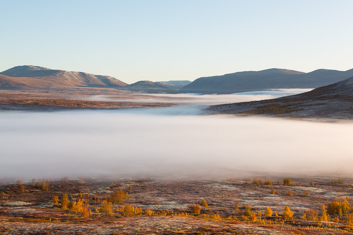 Nebel am Dovrefjell