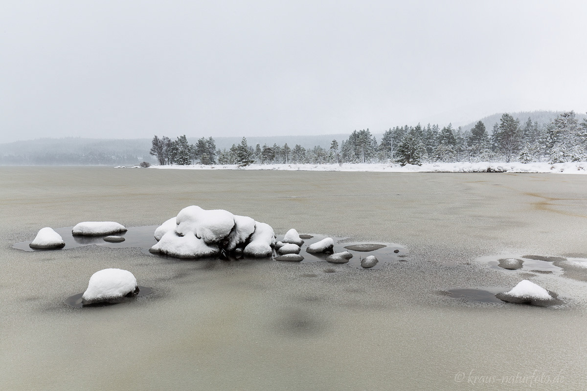 Loch Morlich