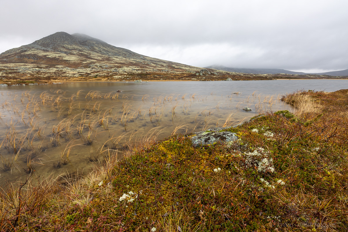 Rondane Nationalpark
