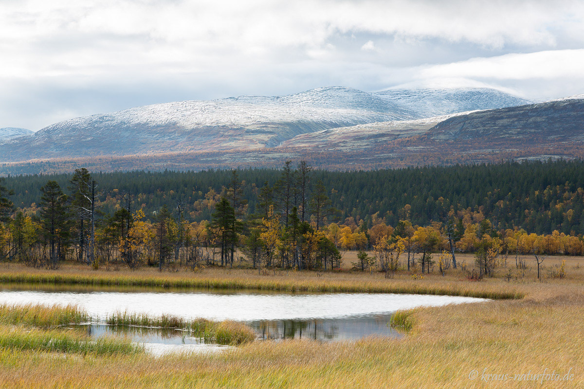 Rondane