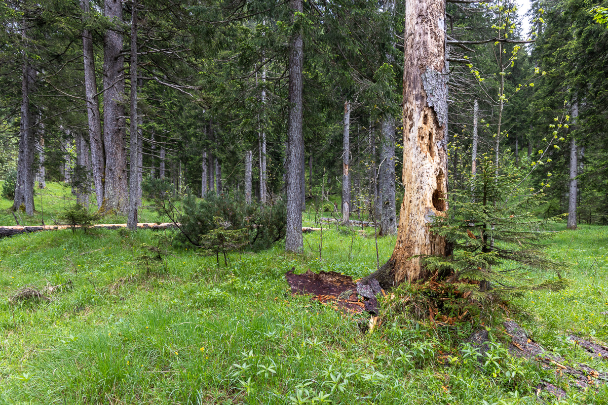 Wimbachtal