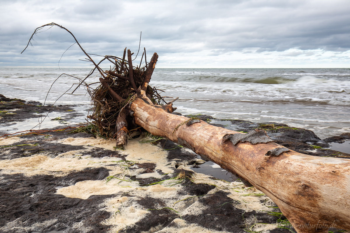 Am Weststrand