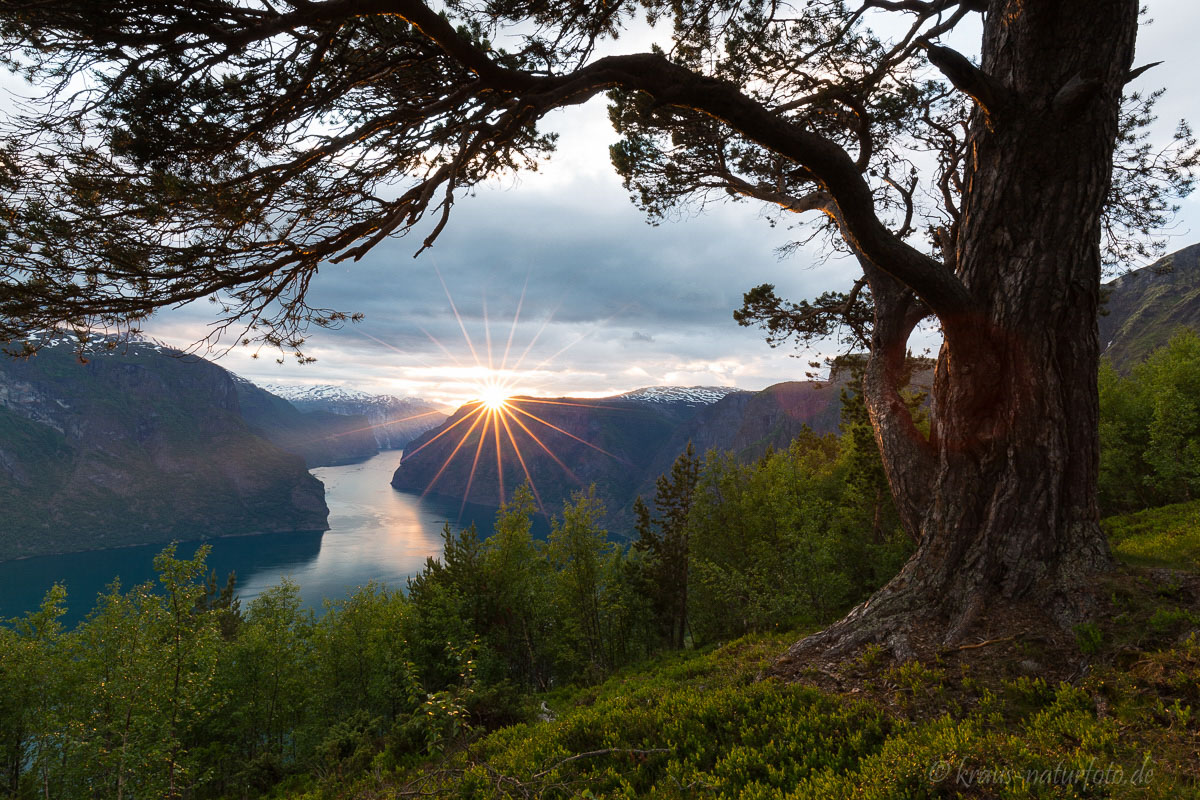 Aurlandsfjord