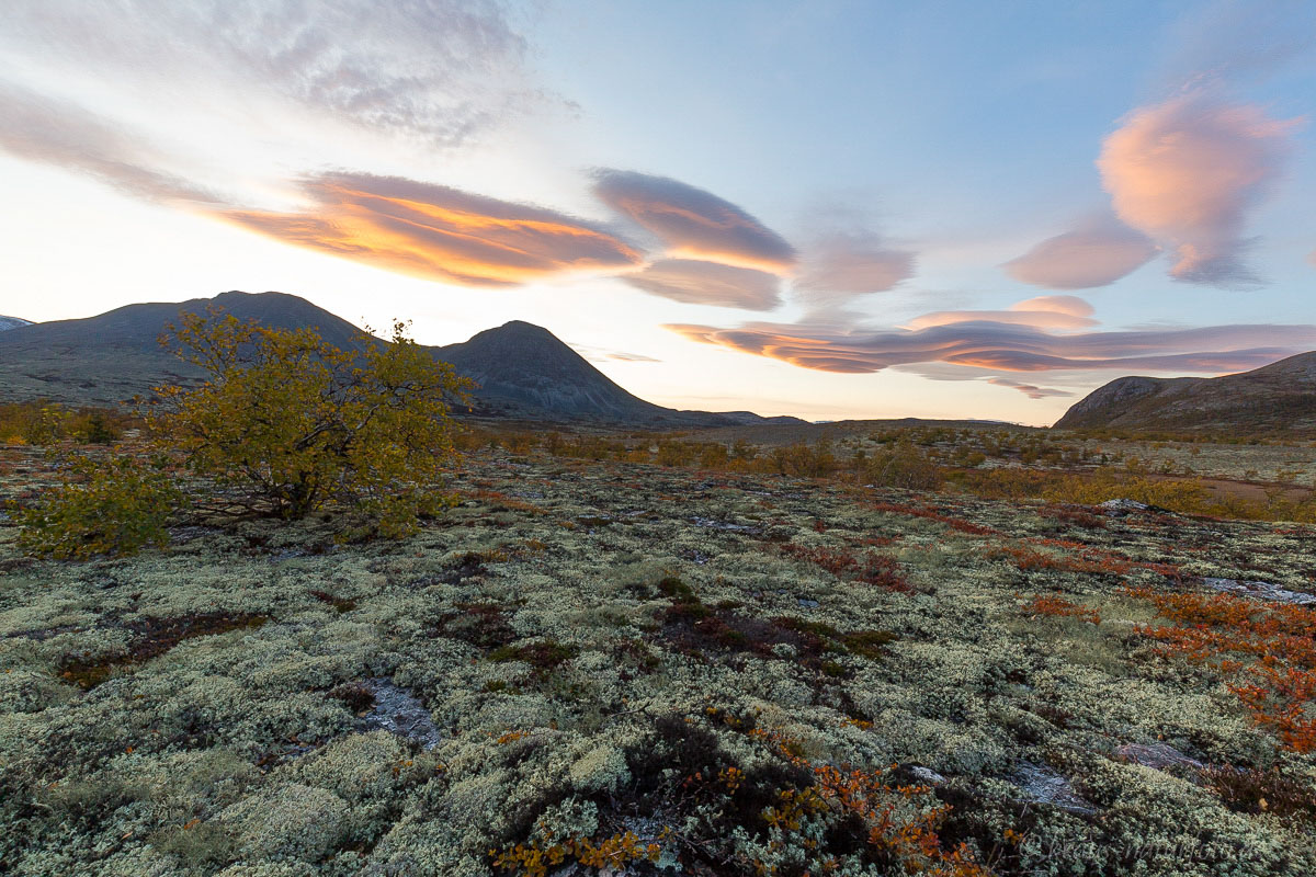 Herbst im Rondane, Norwegen