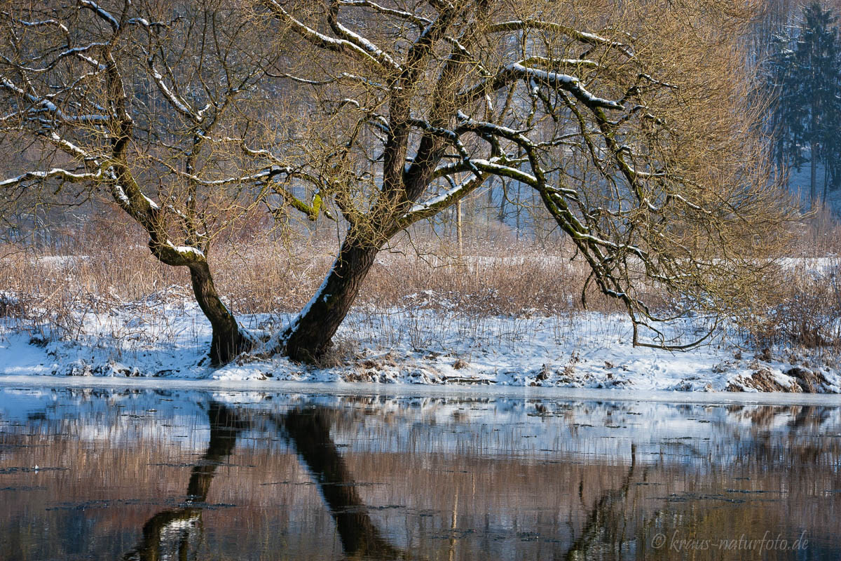 Winter an der Sieg bei Dattenfeld