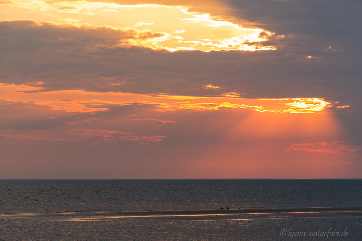 Sonnenuntergang am Strand von Amrum