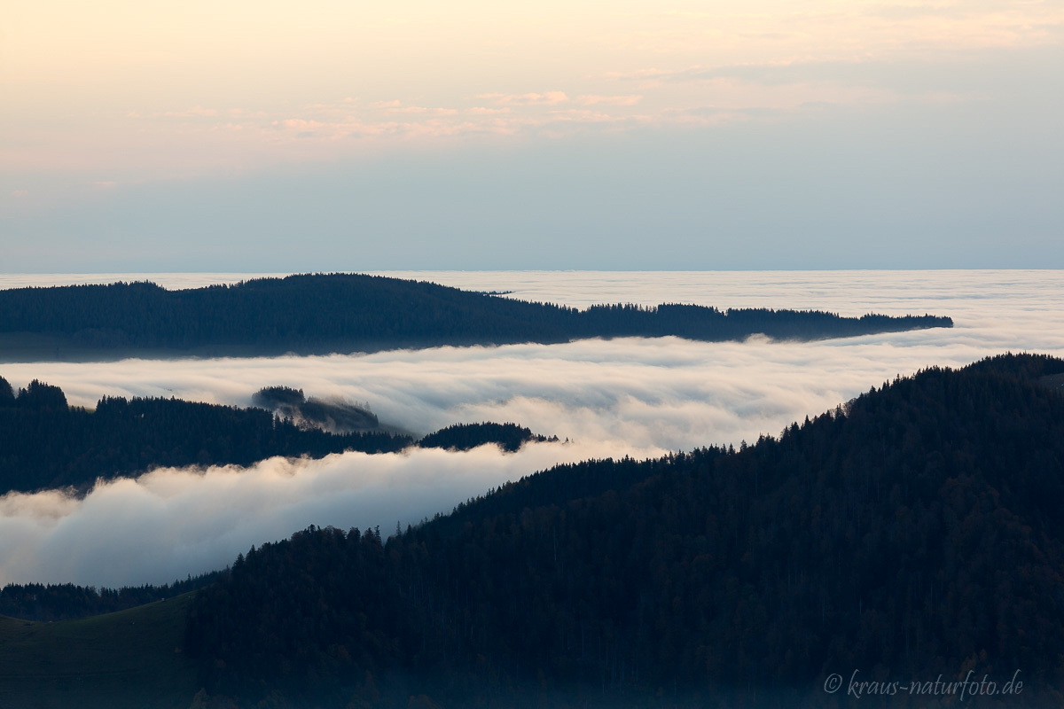 Morgens am Schauinsland