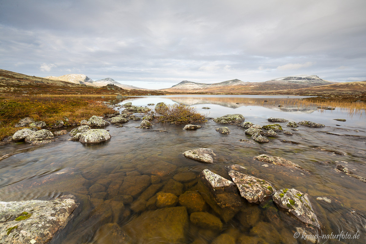 Rondane