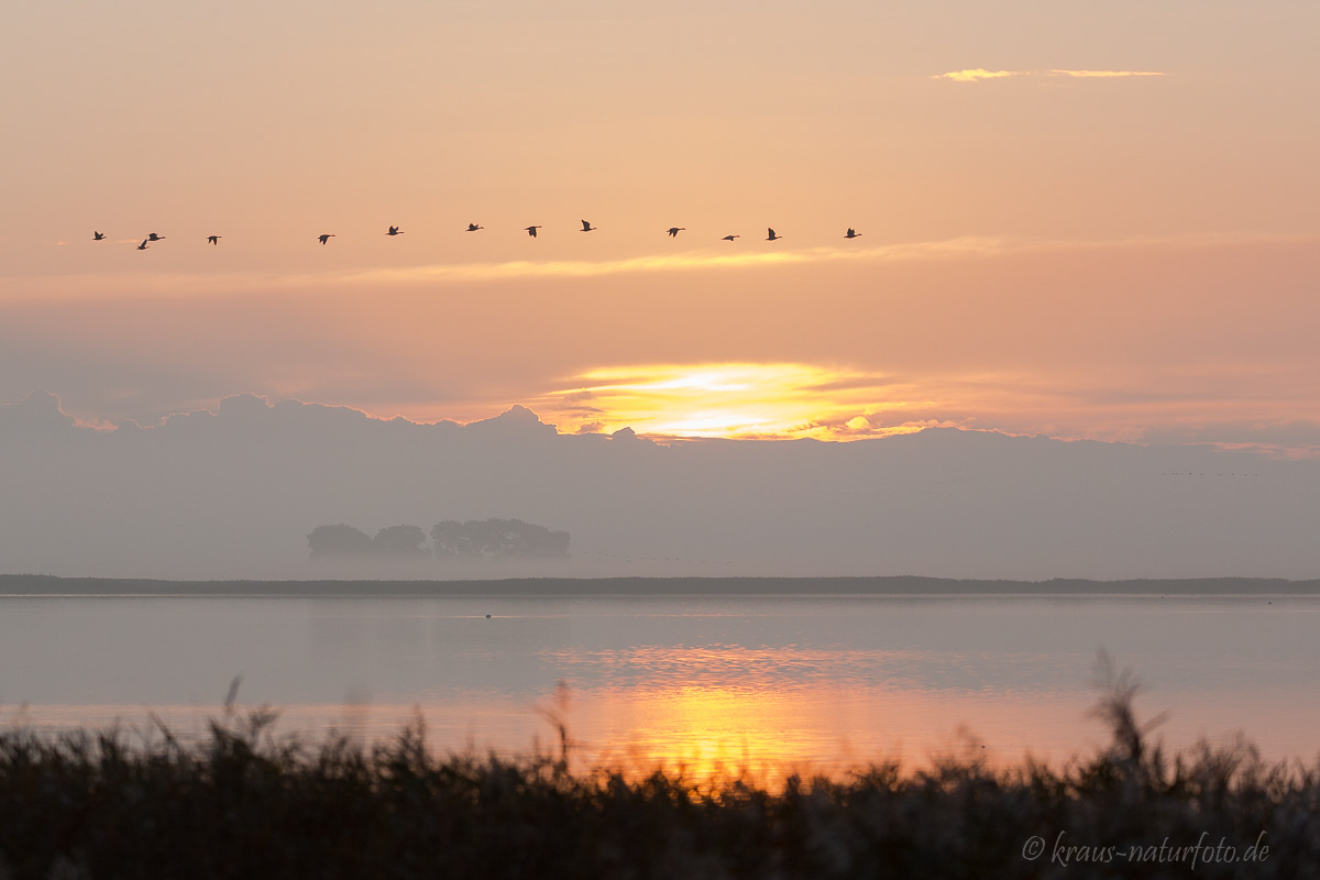 Sonnenaufgang über dem Bodden