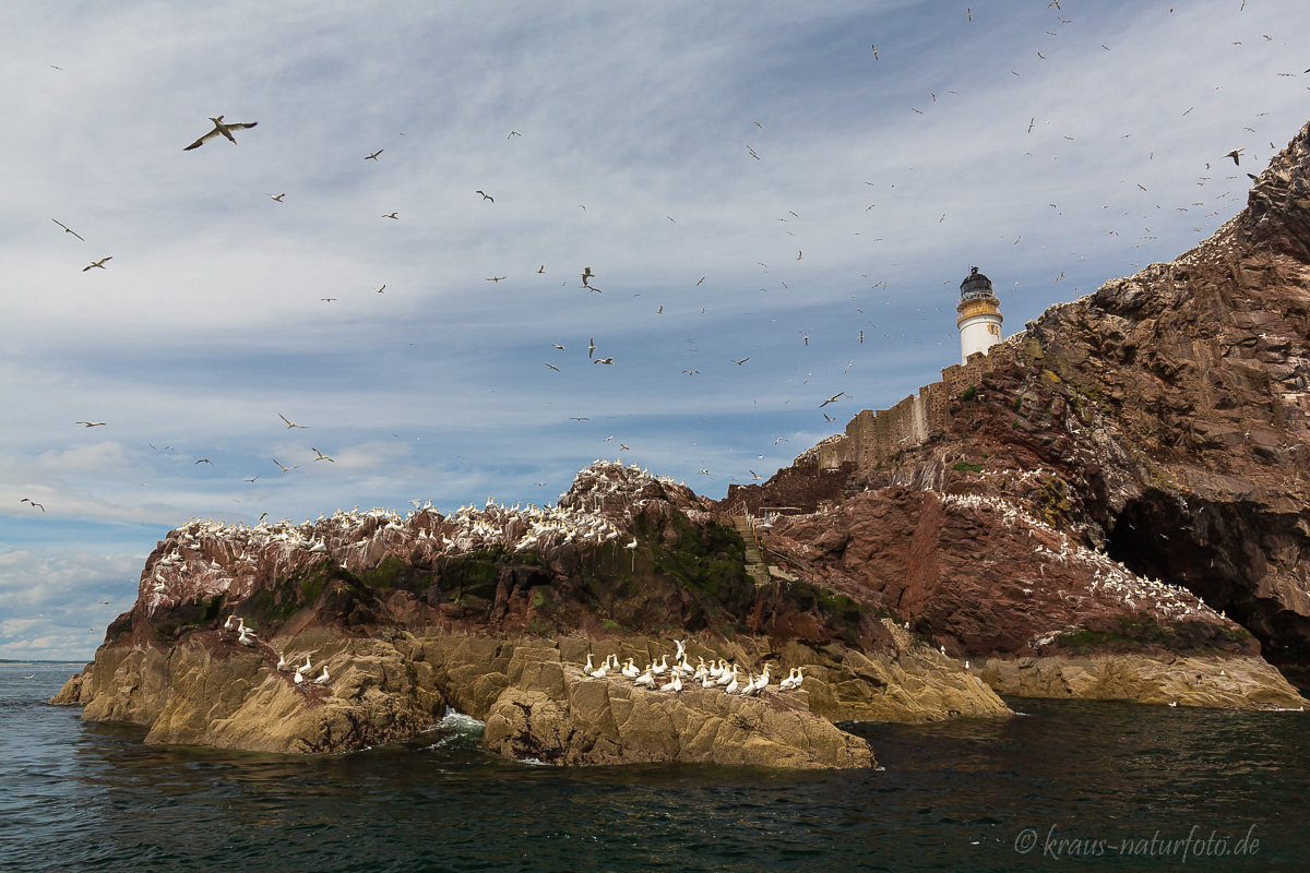 Bass Rock