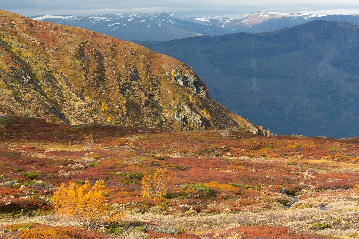 Tindevegen, Sogn og Fjordane