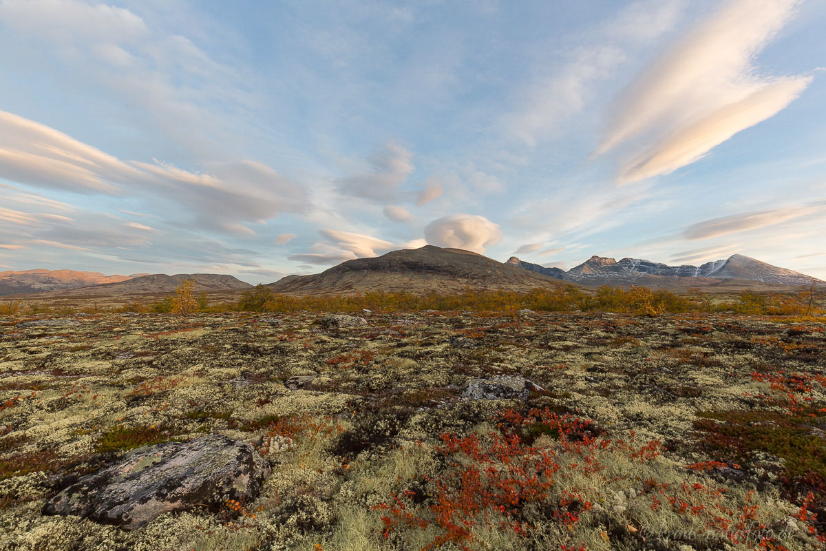 Herbst im Rondane, Norwegen