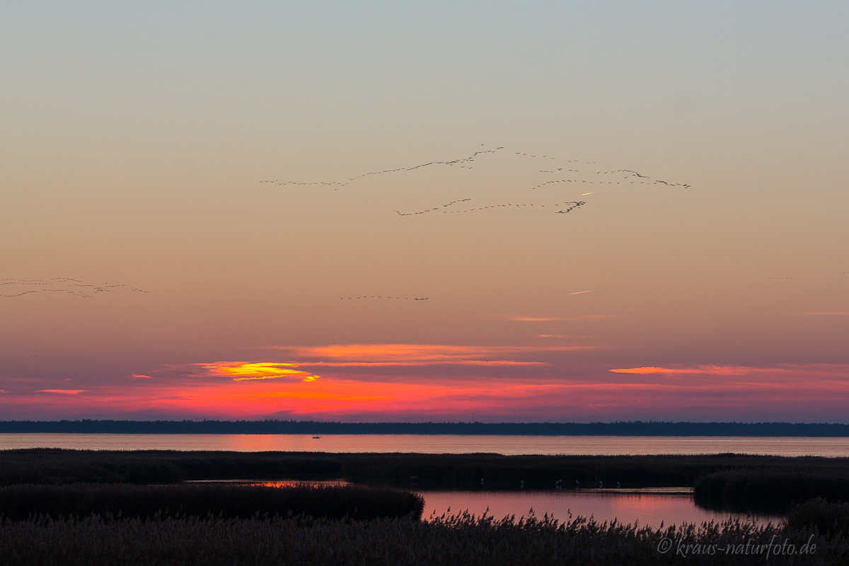 Sonnenuntegang über dem Bodden