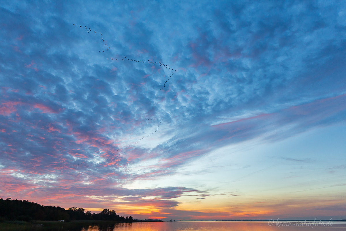 Sonnenuntergang über dem Bodden (Bodstedt)