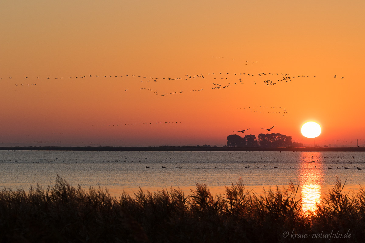 Sonnenaufgang über dem Zingster Bodden