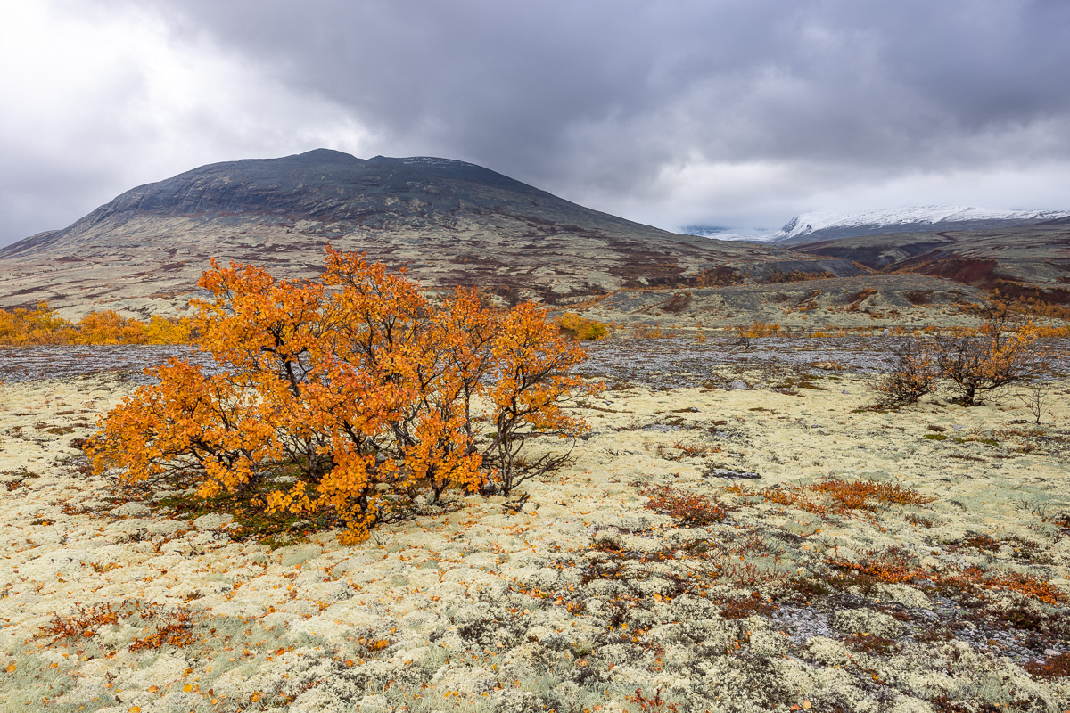 Rondane Nationalpark