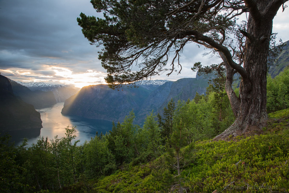 Aurlandsfjord