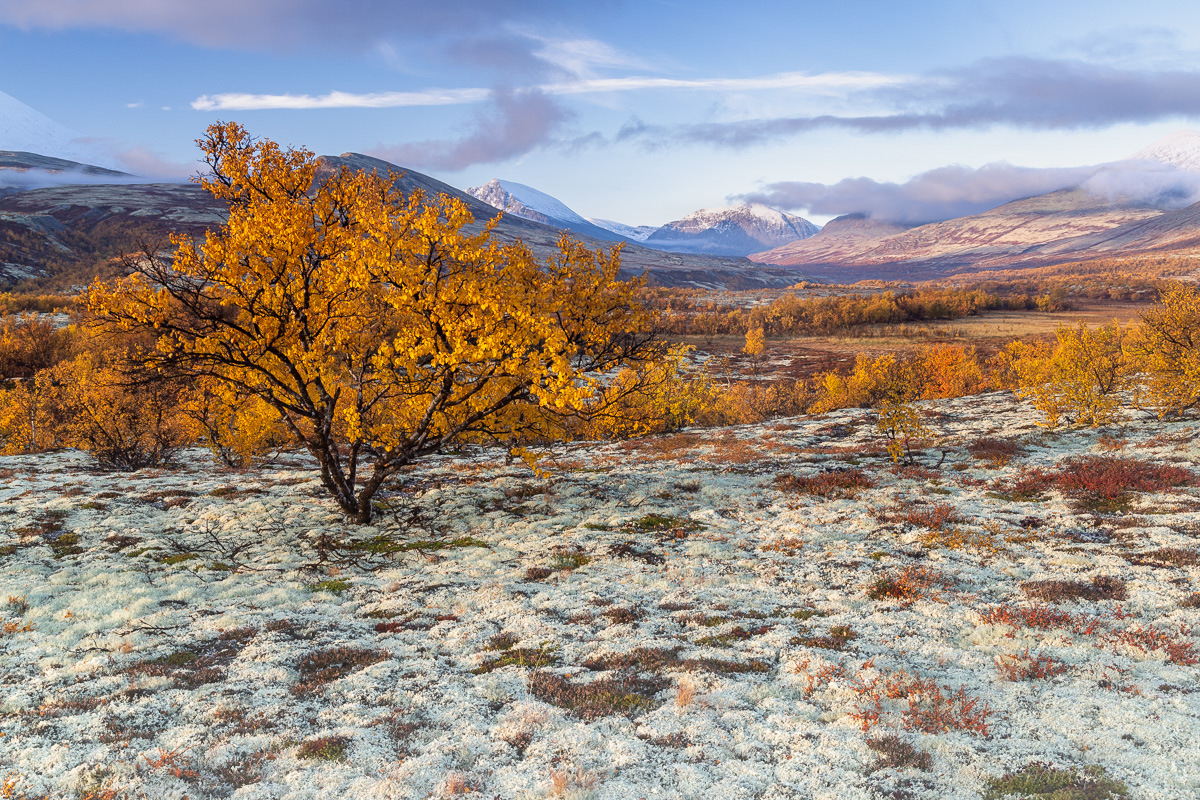 Rondane Nationalpark
