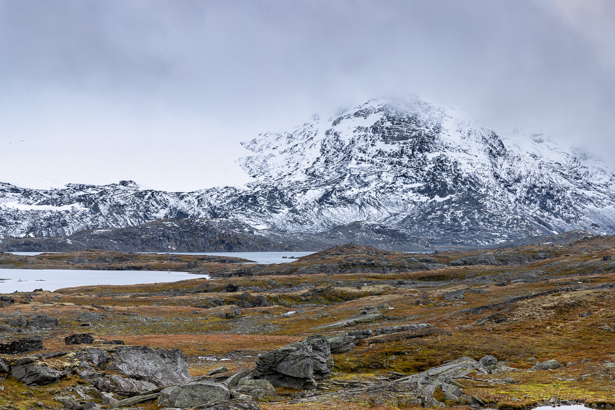 Sognefjell