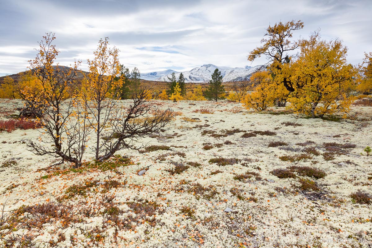 Dørålseter, Rondane Nationalpark