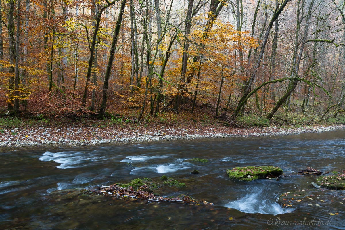 Wutachschlucht