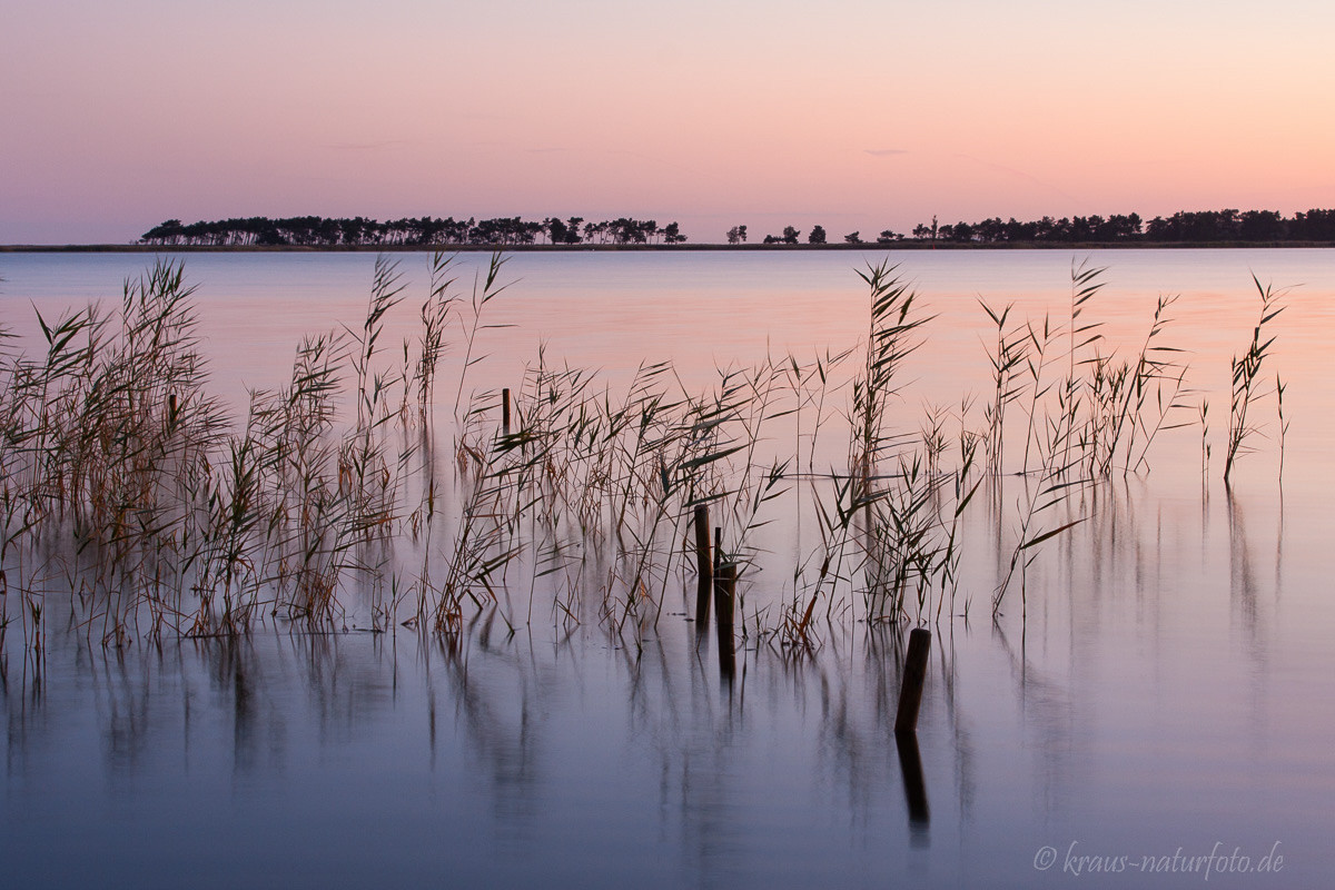 Bodden zu Sonnenaufgang