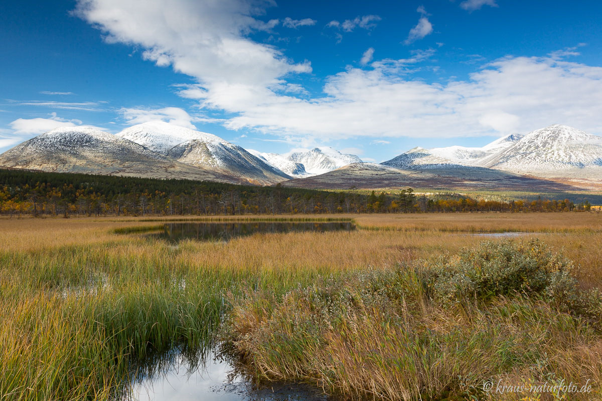 Berge im Rondane von links nach rechts, Musvolkampen, Veslsvulten, Rondslottet, Høgronden