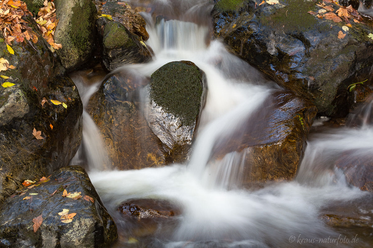 am Todtnauer Wasserfall