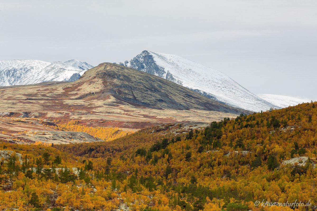 Dørålseter, Rondane Nationalpark