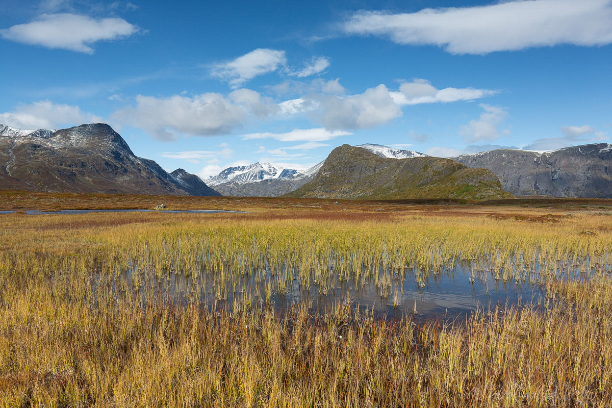 Herbst im Valdresflye, Norwegen