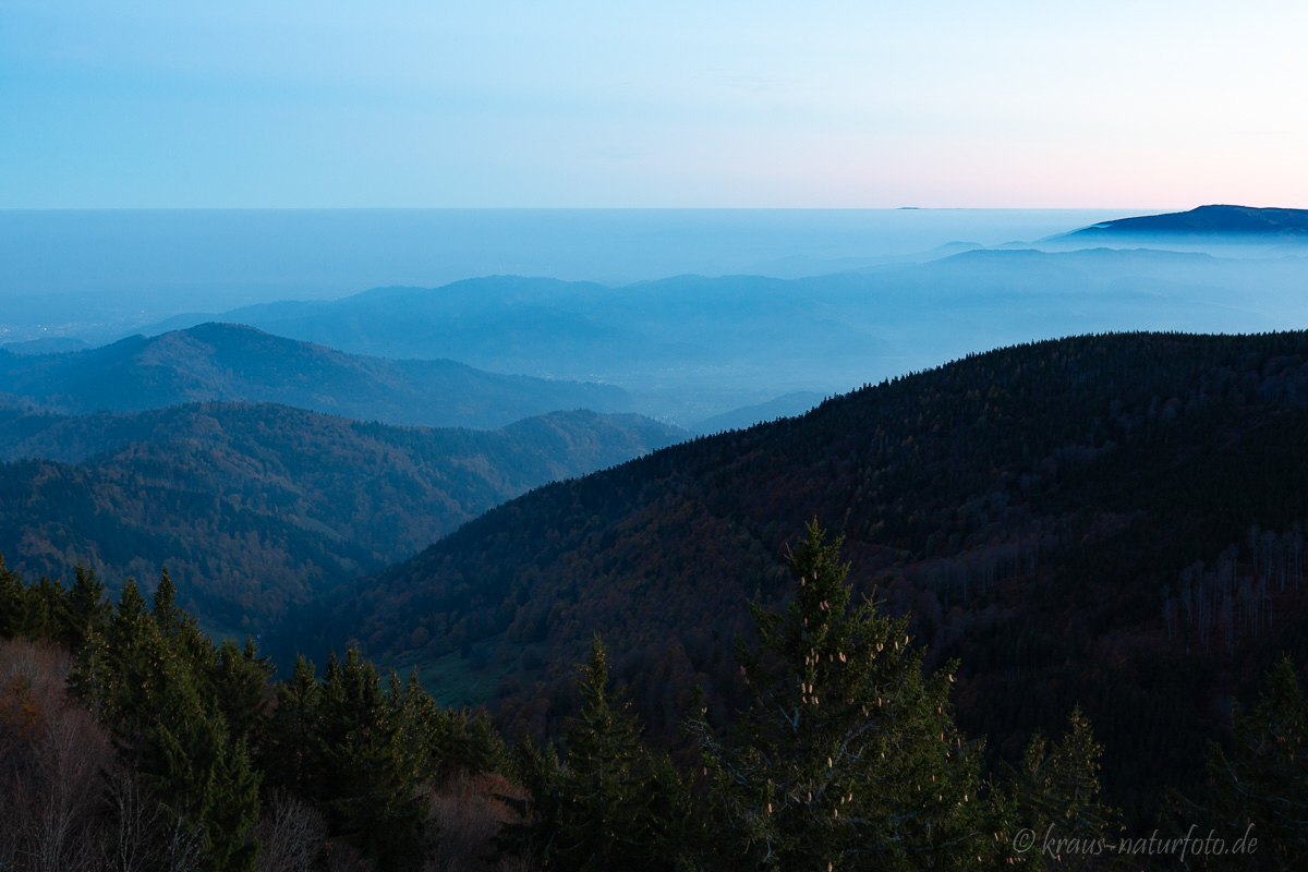 Morgens am Schauinsland